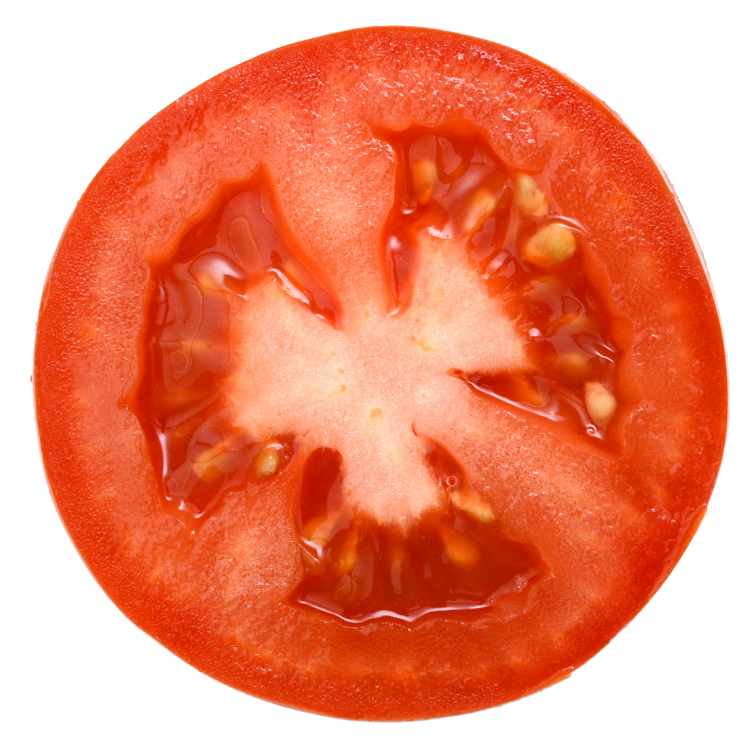 Tomato